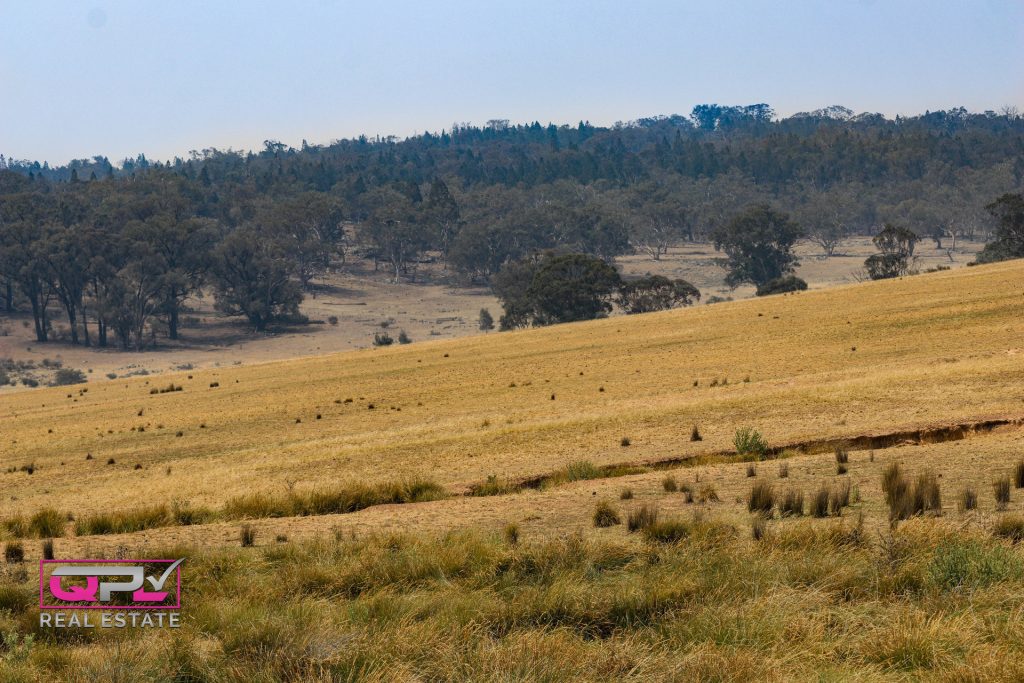 Old Cootamundra Road, Temora NSW 2666 - photo 6