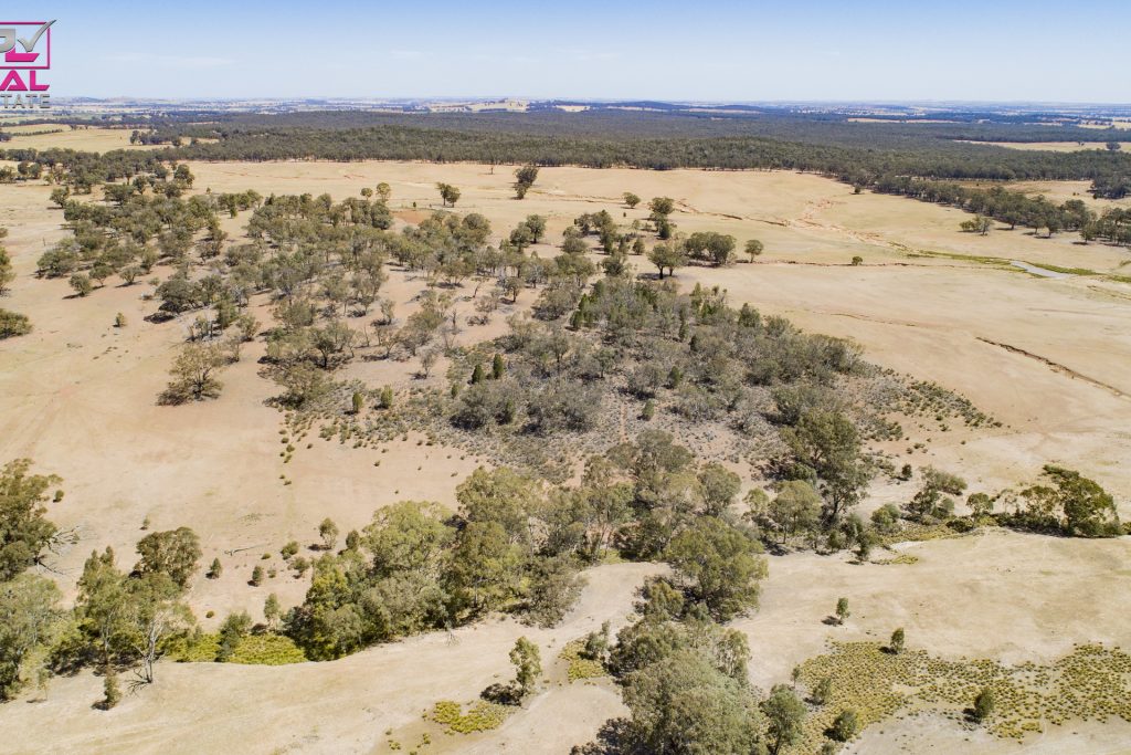 Old Cootamundra Road, Temora NSW 2666 - photo 7