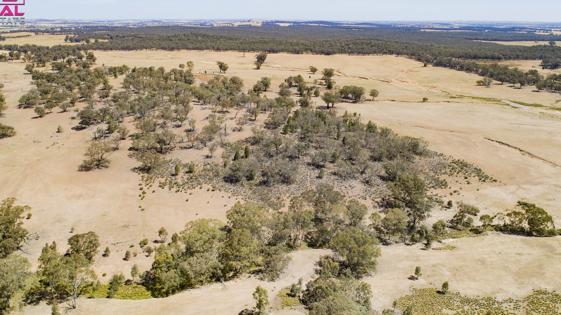 Old Cootamundra Road, Temora NSW 2666 - photo 7