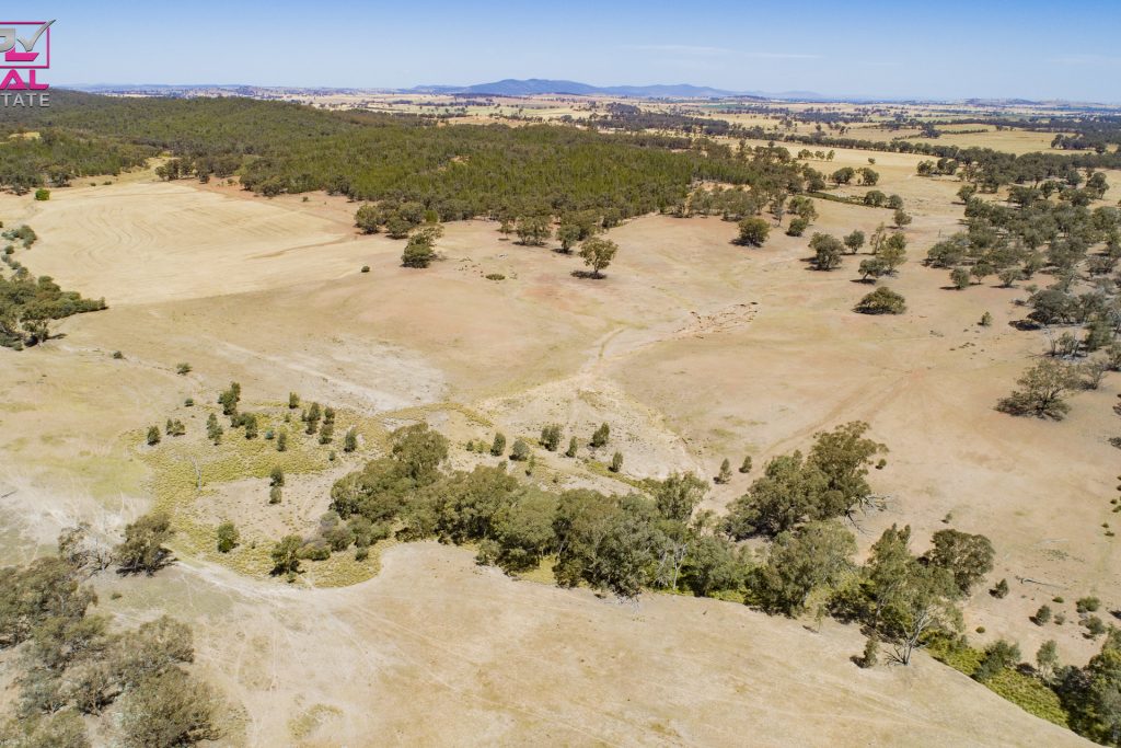 Old Cootamundra Road, Temora NSW 2666 - photo 9