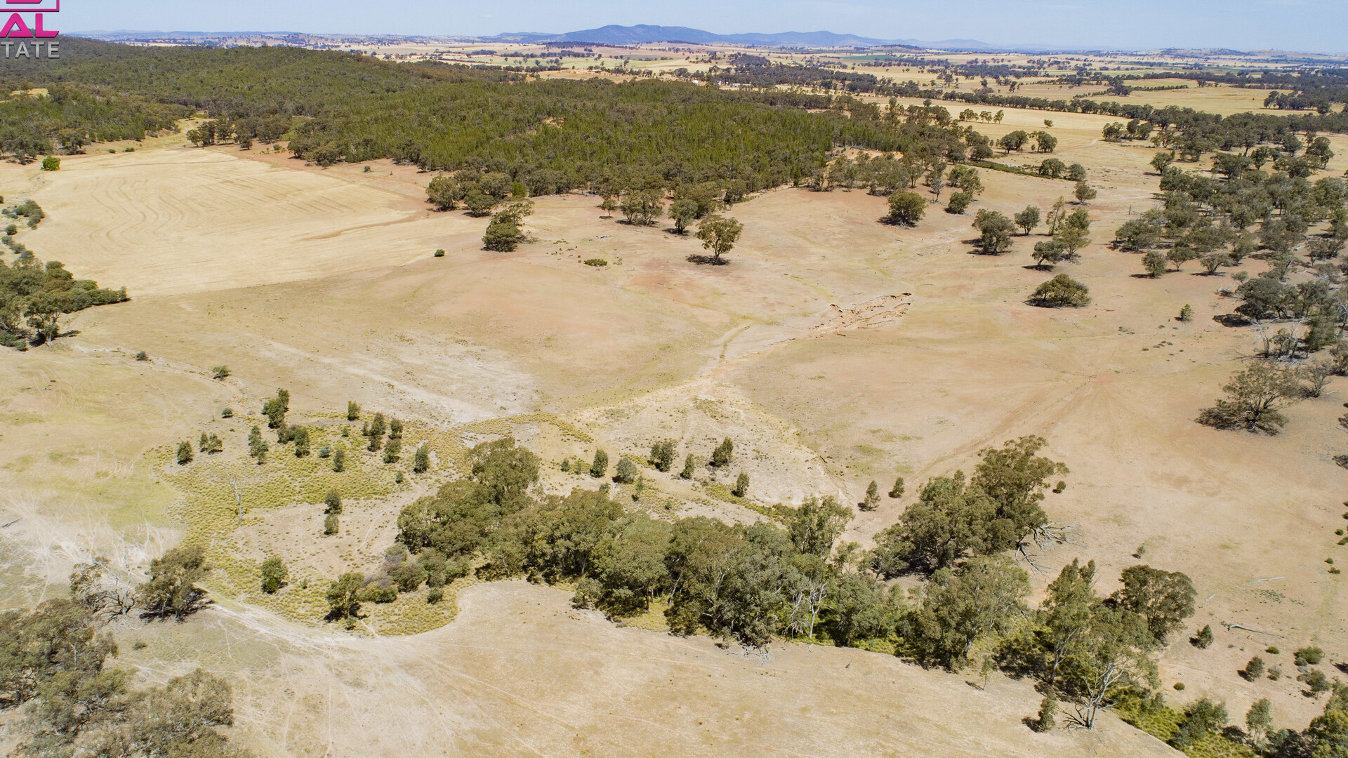 Old Cootamundra Road, Temora NSW 2666 - photo 9