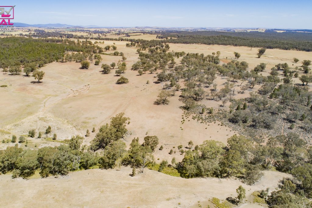 Old Cootamundra Road, Temora NSW 2666 - photo 10