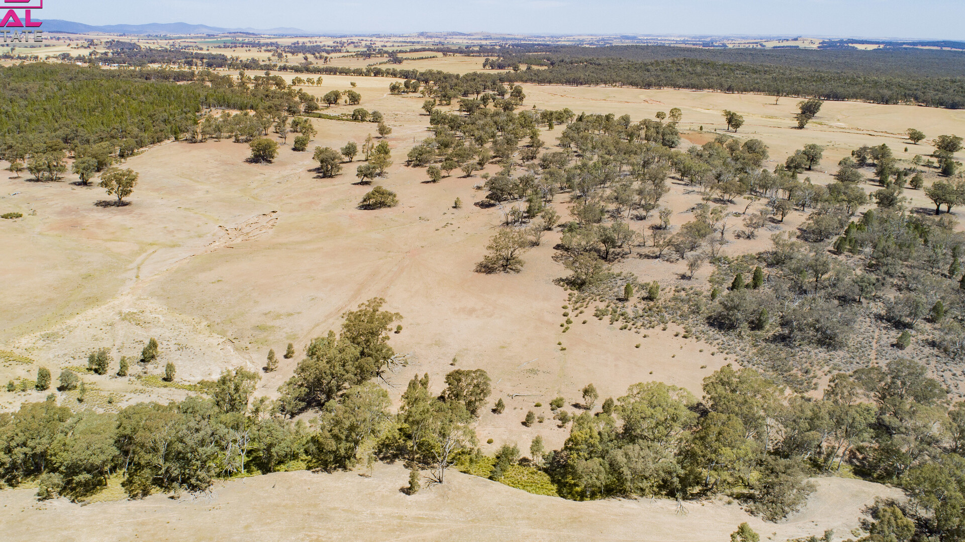 Old Cootamundra Road, Temora NSW 2666 - photo 10