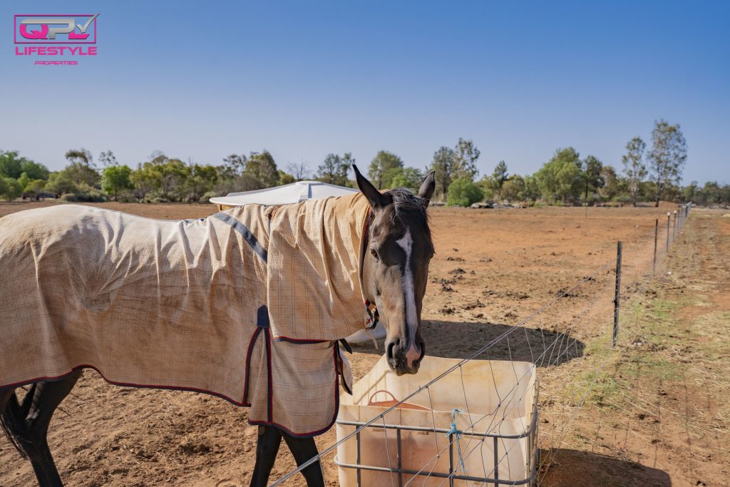 179 Pinehill Road, Narrandera NSW 2700 - photo 17