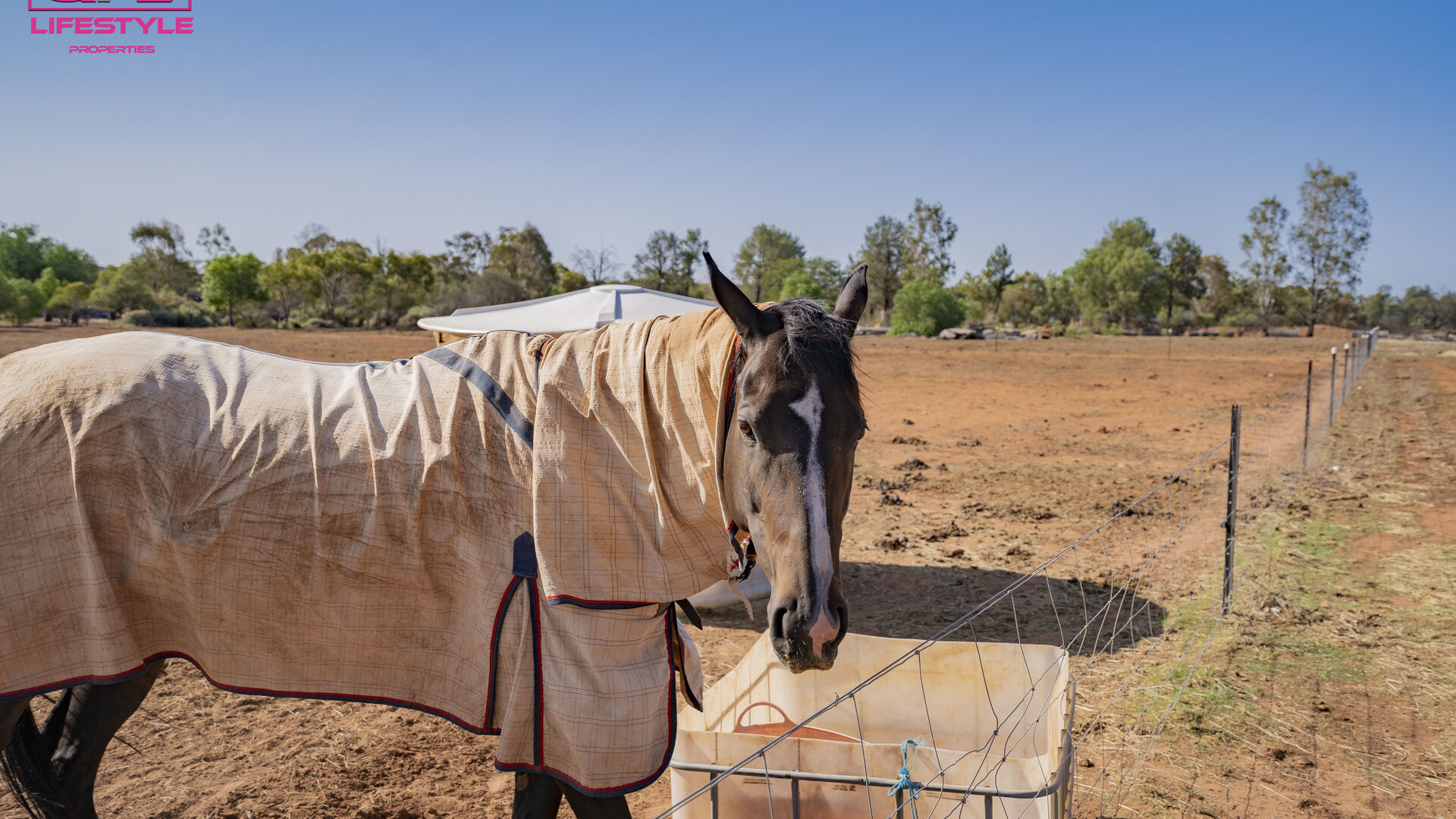 179 Pinehill Road, Narrandera NSW 2700 - photo 17