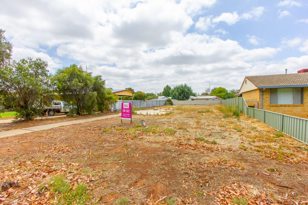 12 Canal Street, Leeton NSW 2705 - photo 3