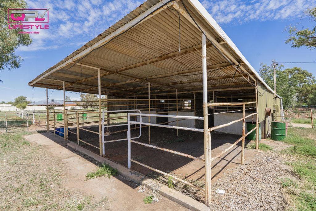 409 Stringer Road, Leeton NSW 2705 - photo 25