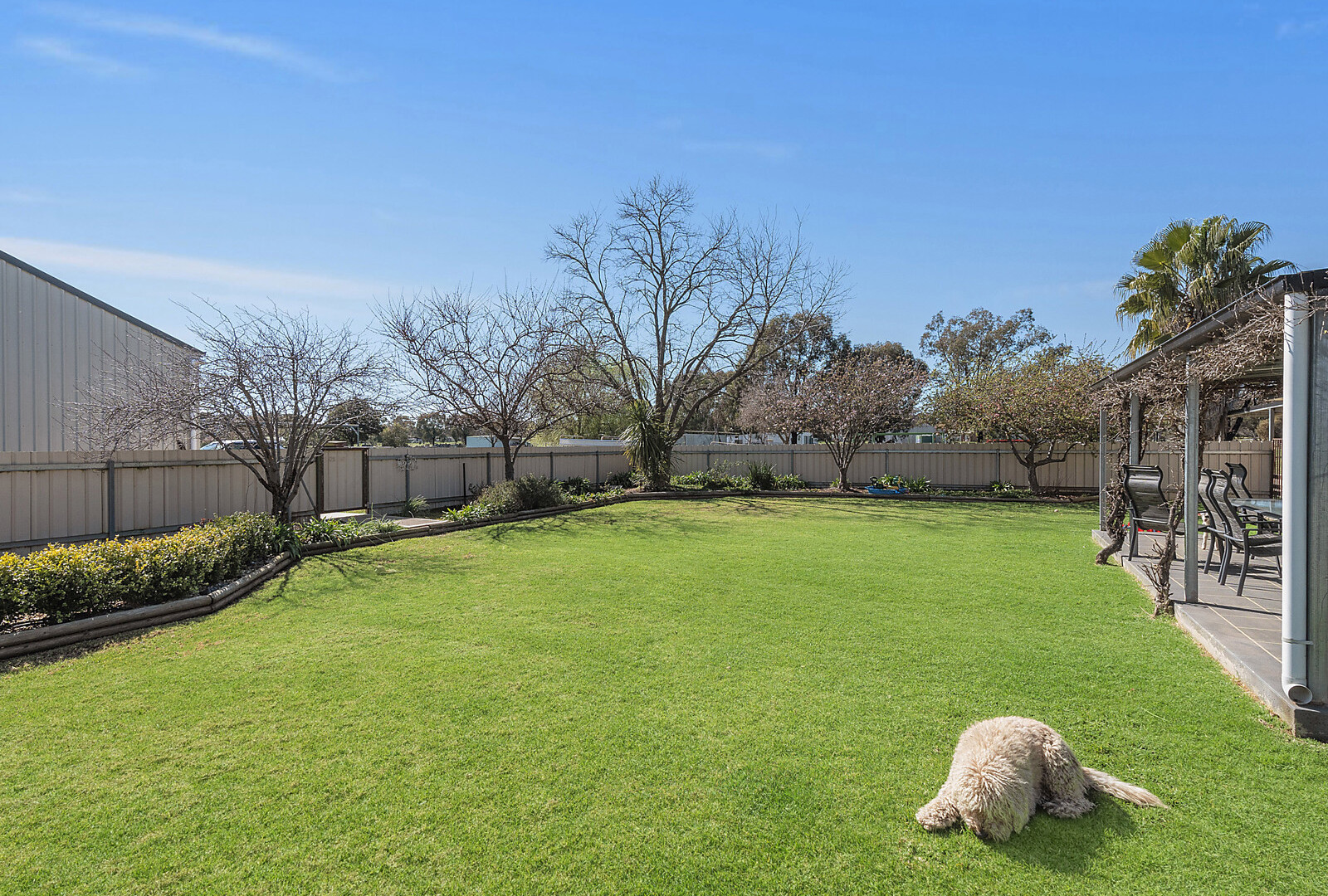 9 Brampton Street, Temora NSW 2666 - photo 11