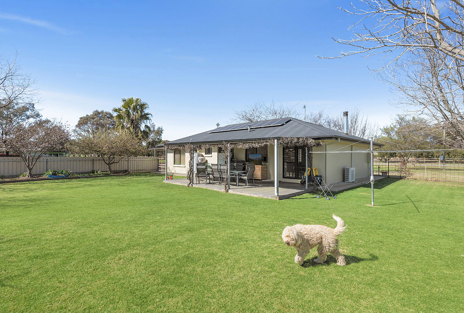 9 Brampton Street, Temora NSW 2666 - photo 12