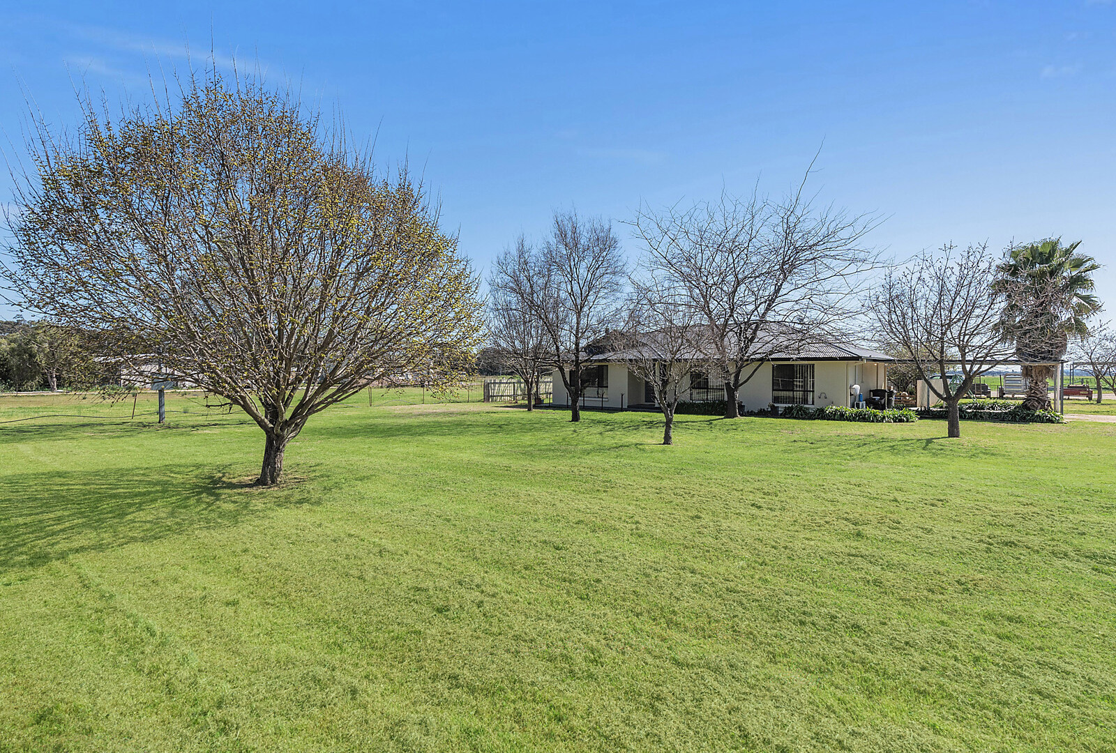 9 Brampton Street, Temora NSW 2666 - photo 13