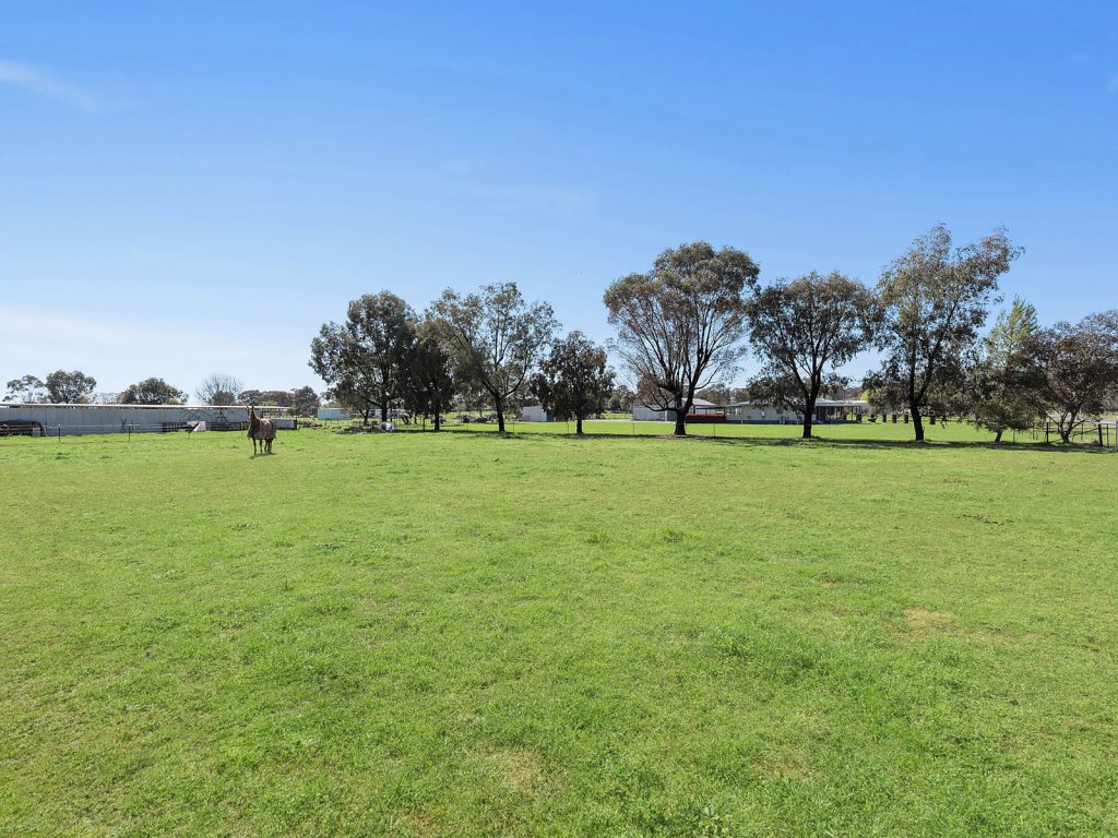 9 Brampton Street, Temora NSW 2666 - photo 14