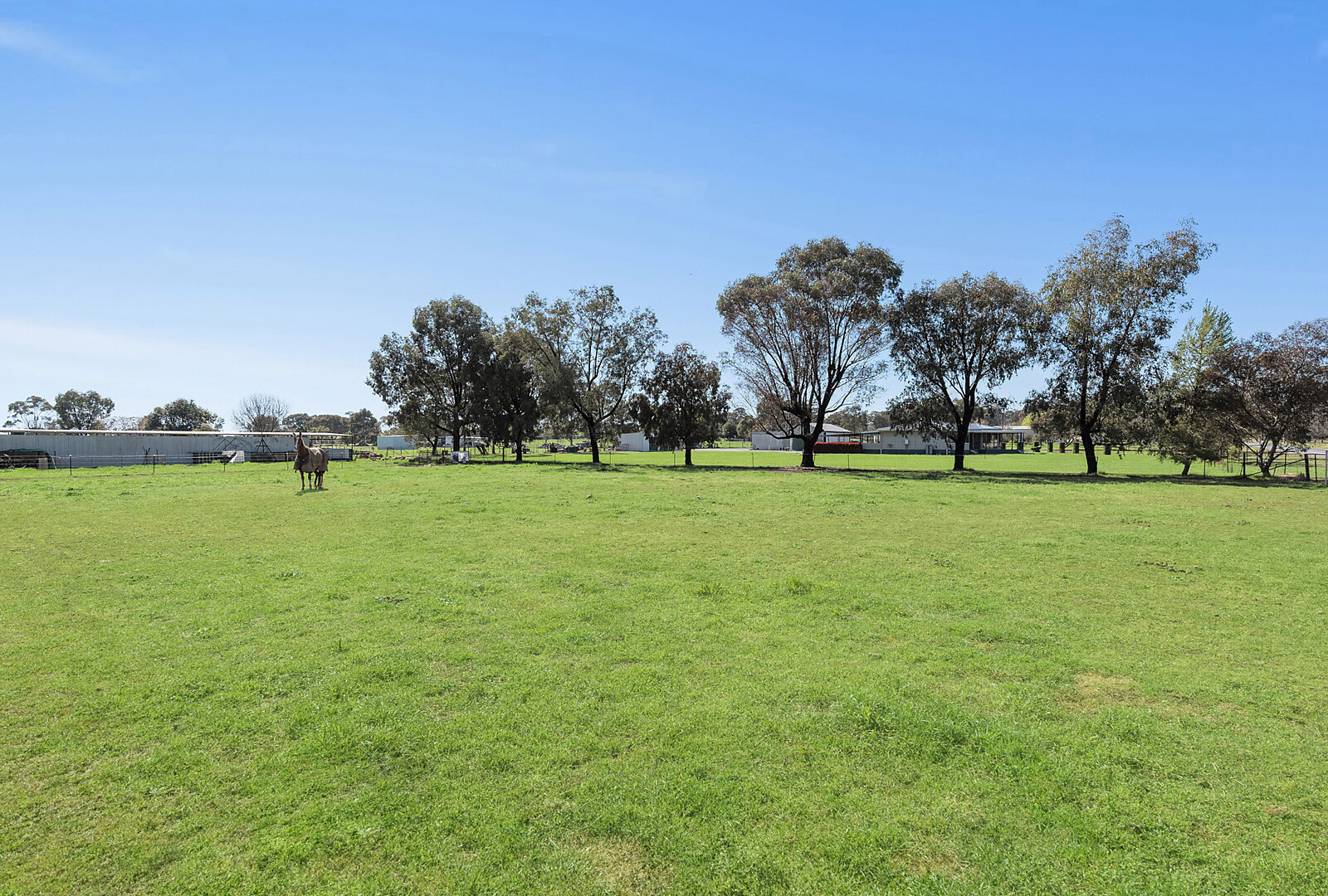 9 Brampton Street, Temora NSW 2666 - photo 14