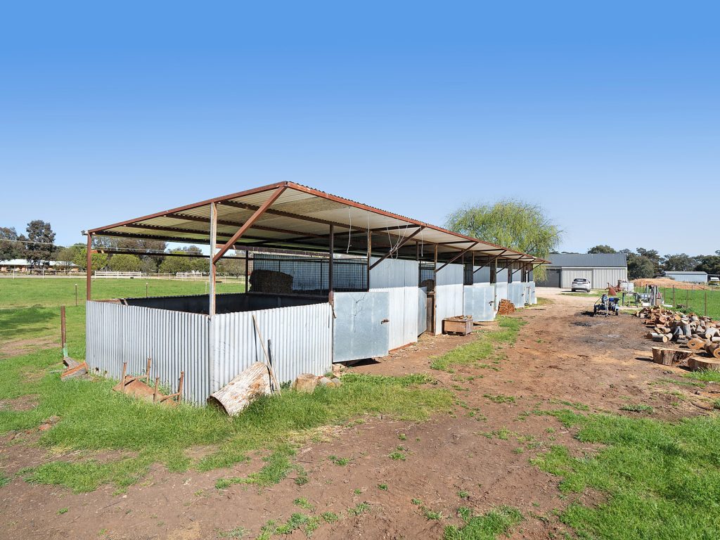 9 Brampton Street, Temora NSW 2666 - photo 16
