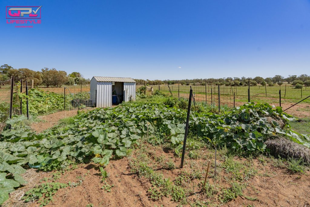 2283 Millwood Road, Coolamon NSW 2701 - photo 21