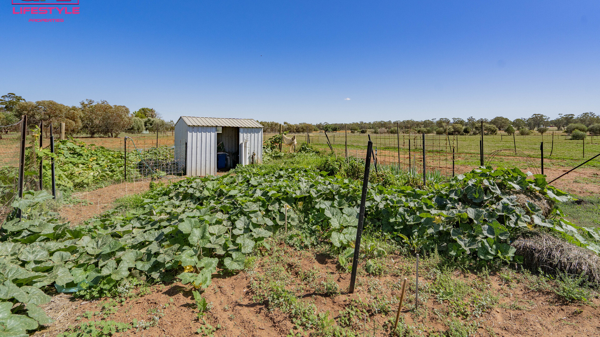 2283 Millwood Road, Coolamon NSW 2701 - photo 21