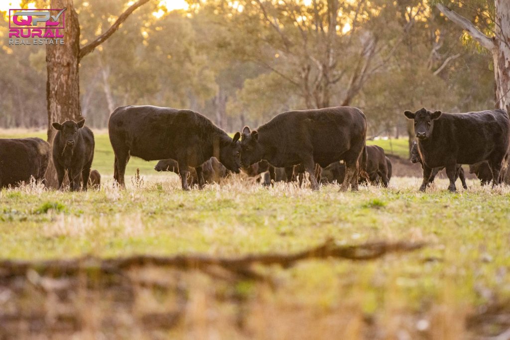 7 Sturt Highway, Narrandera NSW 2700 - photo 11