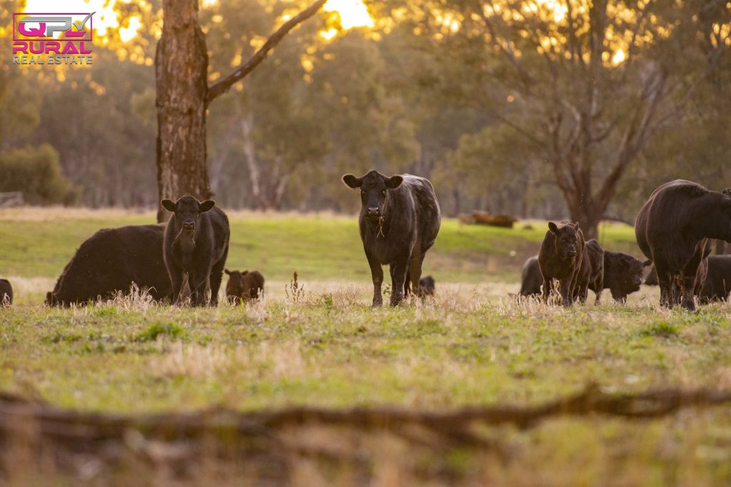 7 Sturt Highway, Narrandera NSW 2700 - photo 12