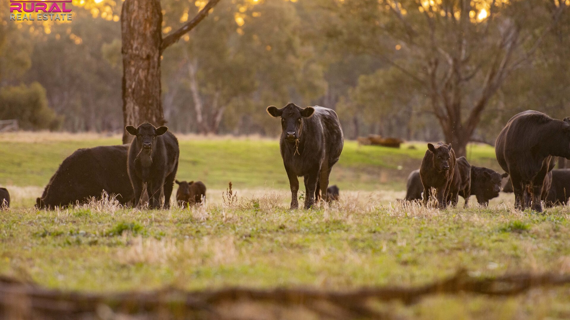 7 Sturt Highway, Narrandera NSW 2700 - photo 12