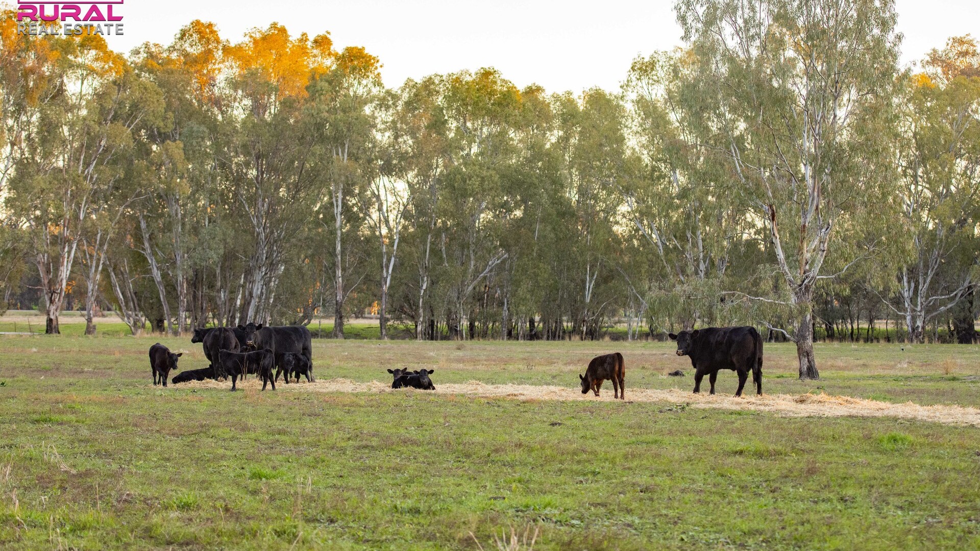 7 Sturt Highway, Narrandera NSW 2700 - photo 13