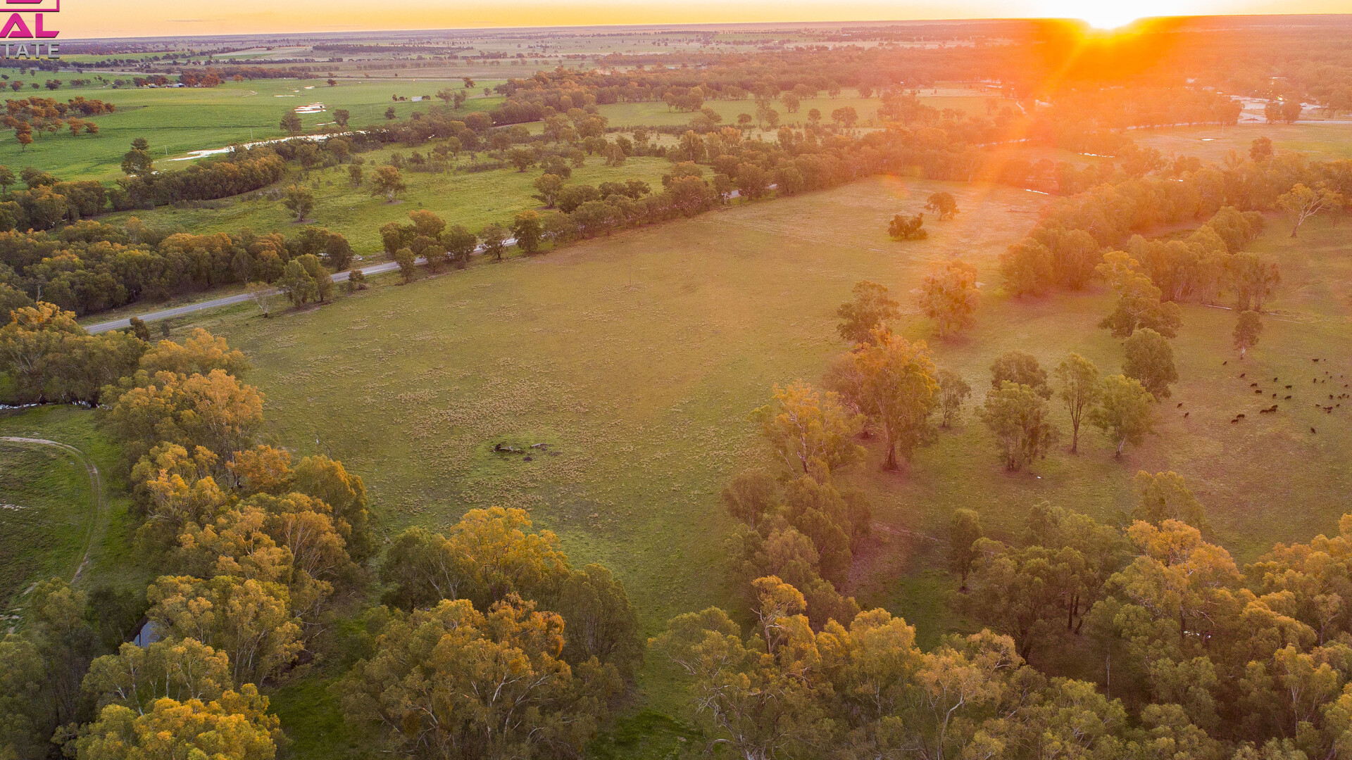 7 Sturt Highway, Narrandera NSW 2700 - photo 5