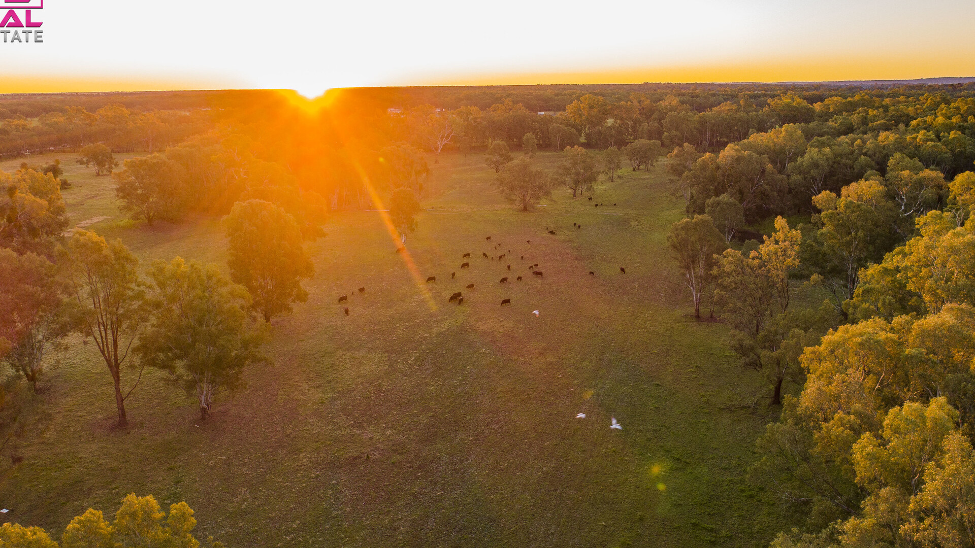 7 Sturt Highway, Narrandera NSW 2700 - photo 6