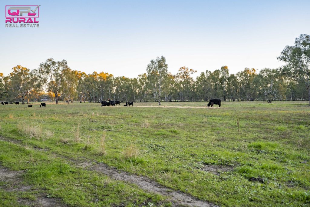 7 Sturt Highway, Narrandera NSW 2700 - photo 9