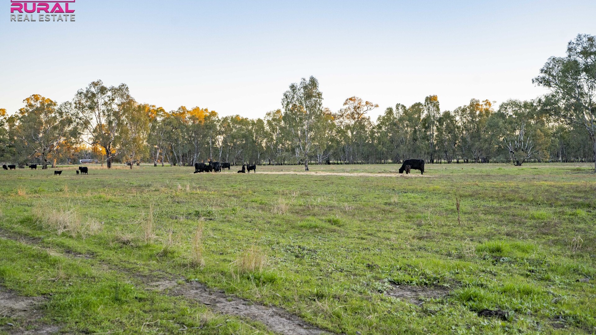 7 Sturt Highway, Narrandera NSW 2700 - photo 9