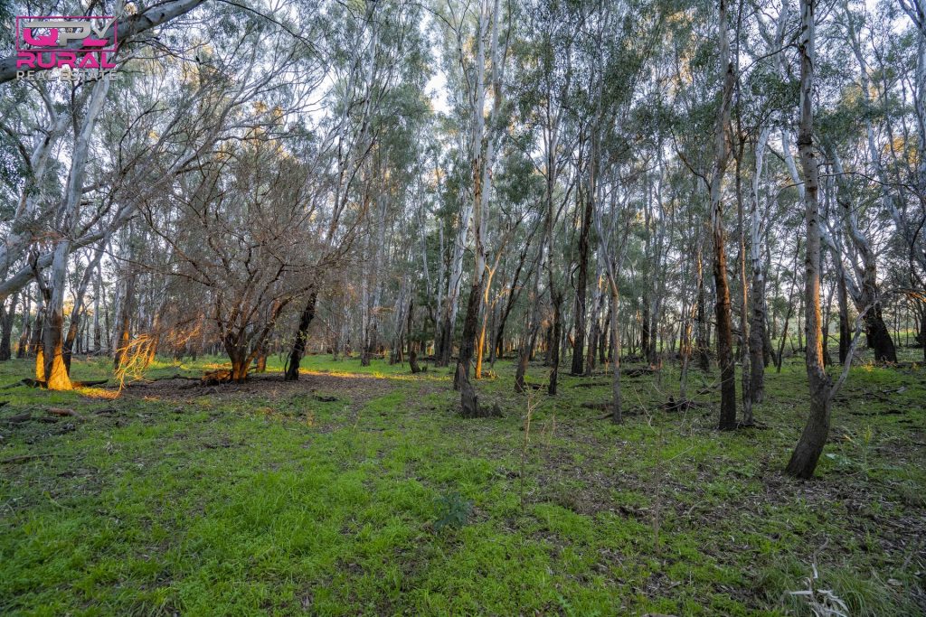 7 Sturt Highway, Narrandera NSW 2700 - photo 10