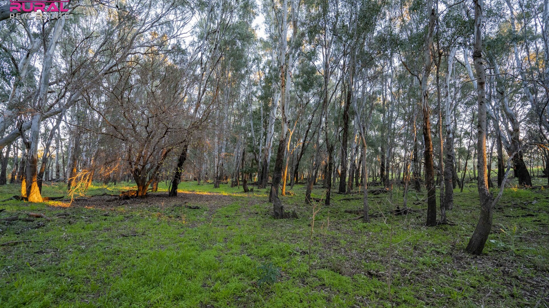 7 Sturt Highway, Narrandera NSW 2700 - photo 10