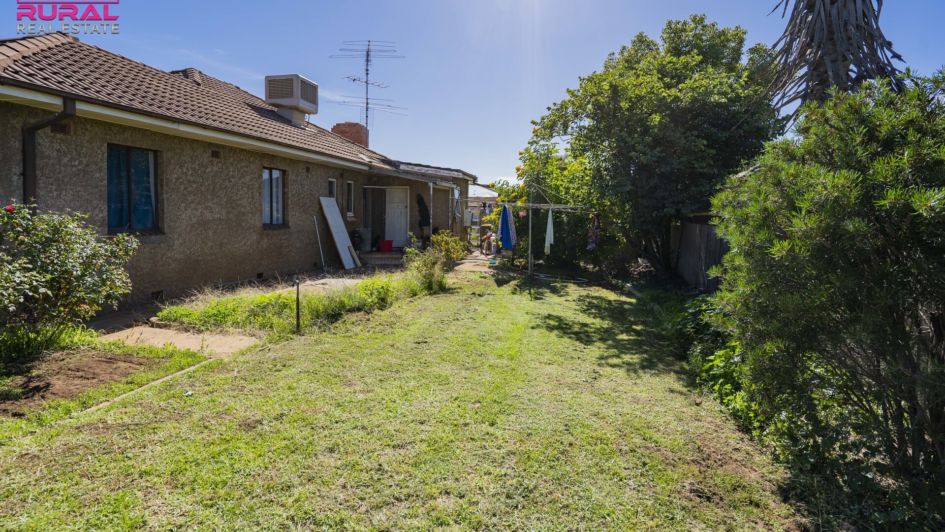 53 Dalgetty Street, Narrandera NSW 2700 - photo 12