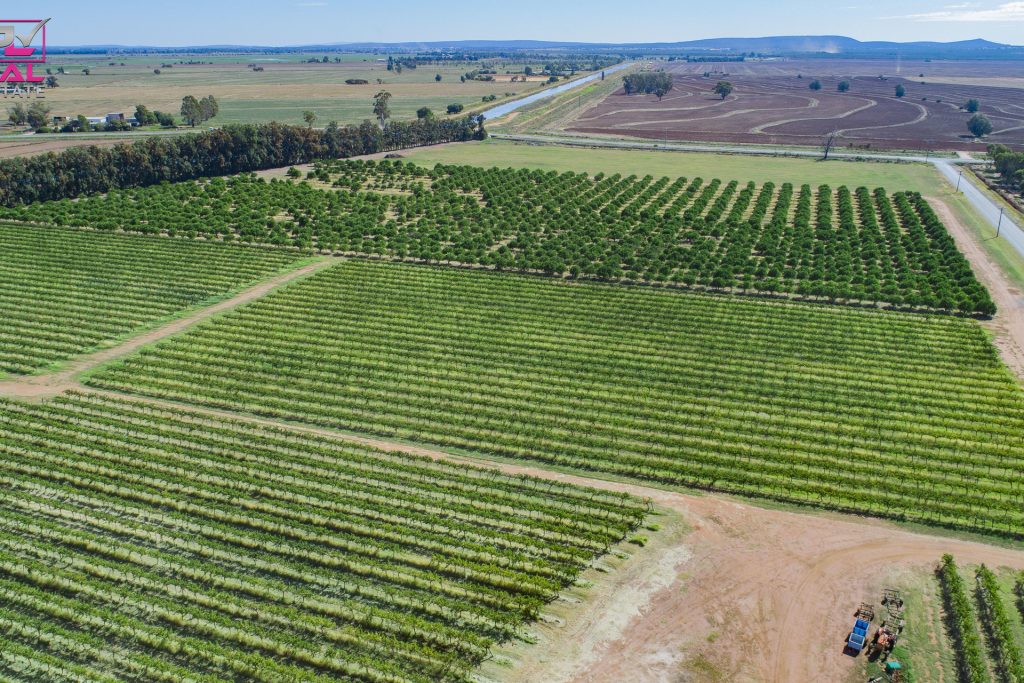 60 Stringer Road, Leeton NSW 2705 - photo 4