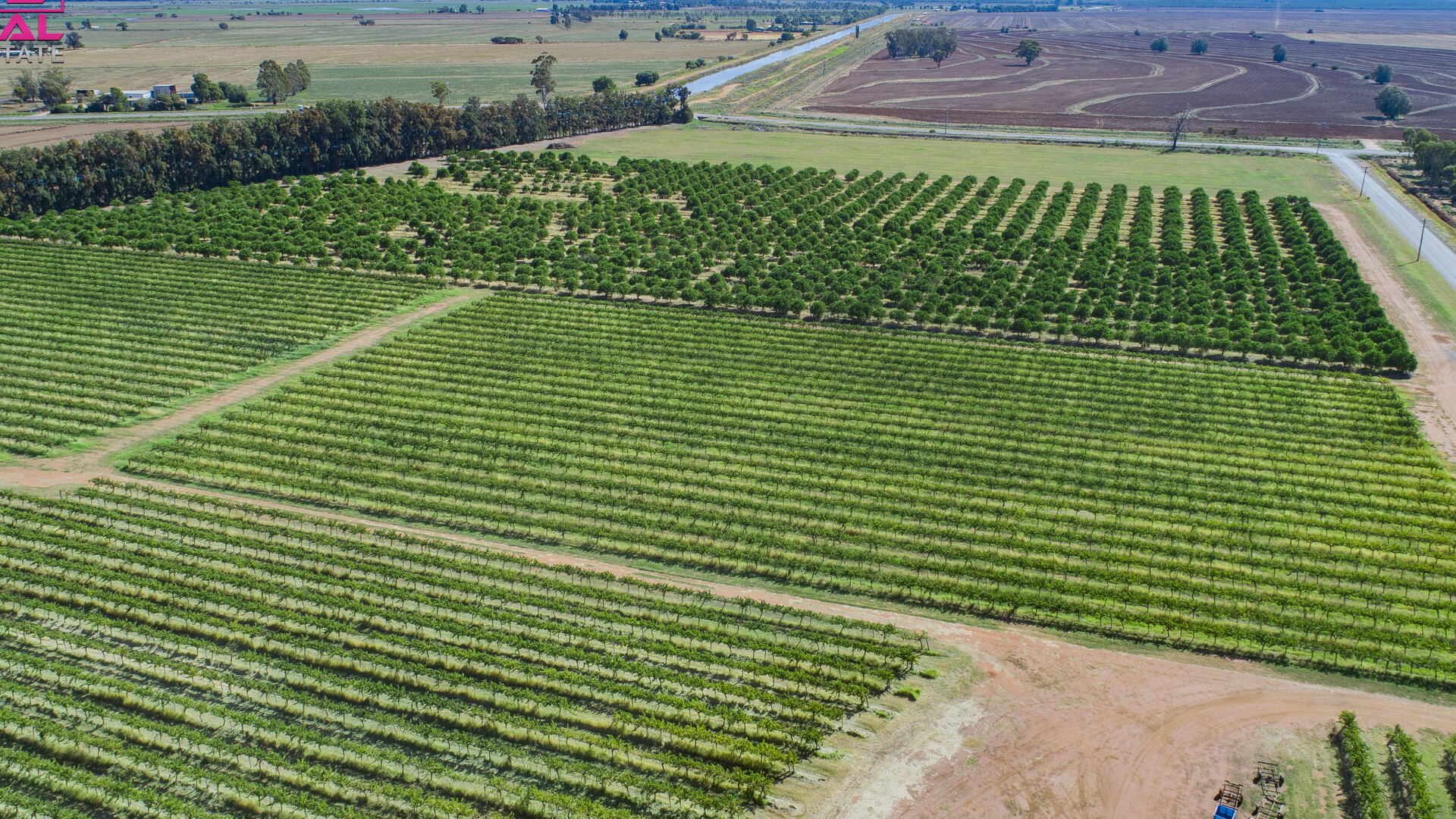 60 Stringer Road, Leeton NSW 2705 - photo 4