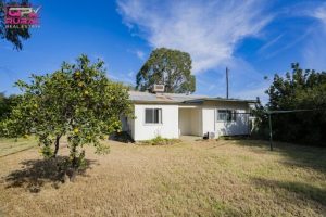 177 Audley Street, Narrandera NSW 2700 - photo 11