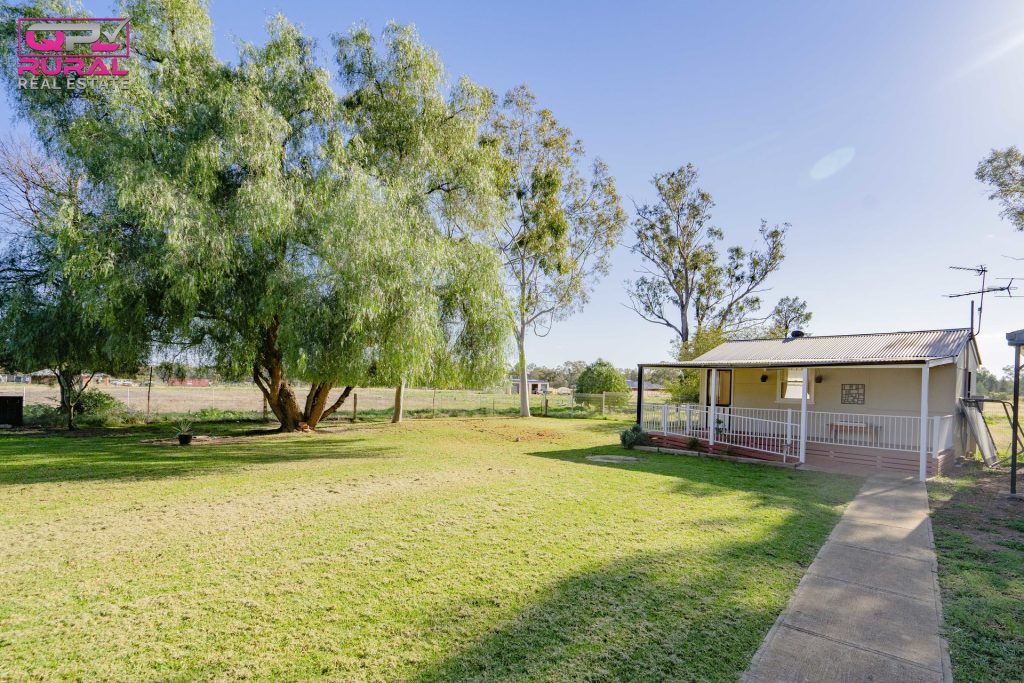 117 Pine Hill Road, Narrandera NSW 2700 - photo 25