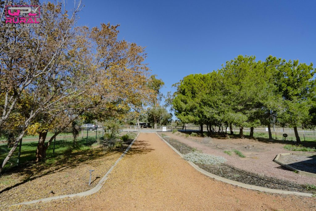 117 Pine Hill Road, Narrandera NSW 2700 - photo 26