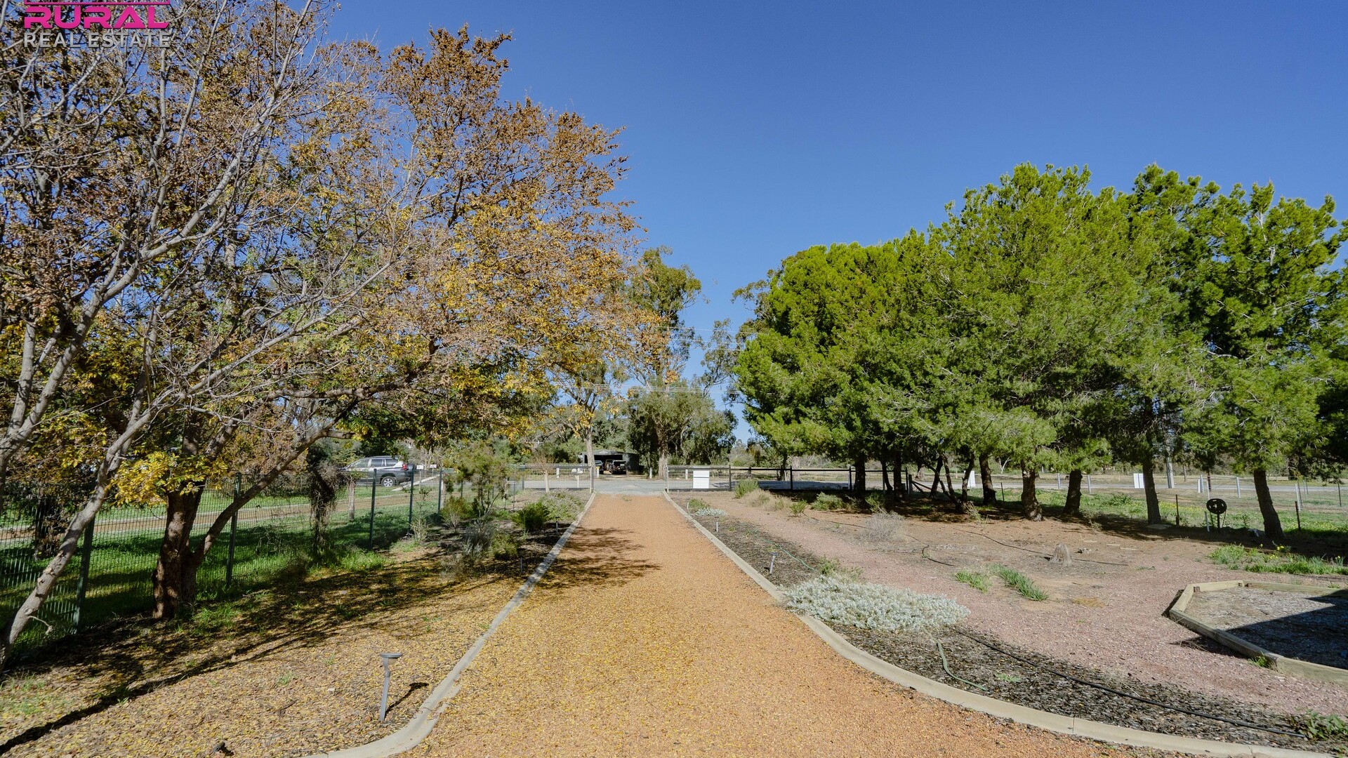 117 Pine Hill Road, Narrandera NSW 2700 - photo 26
