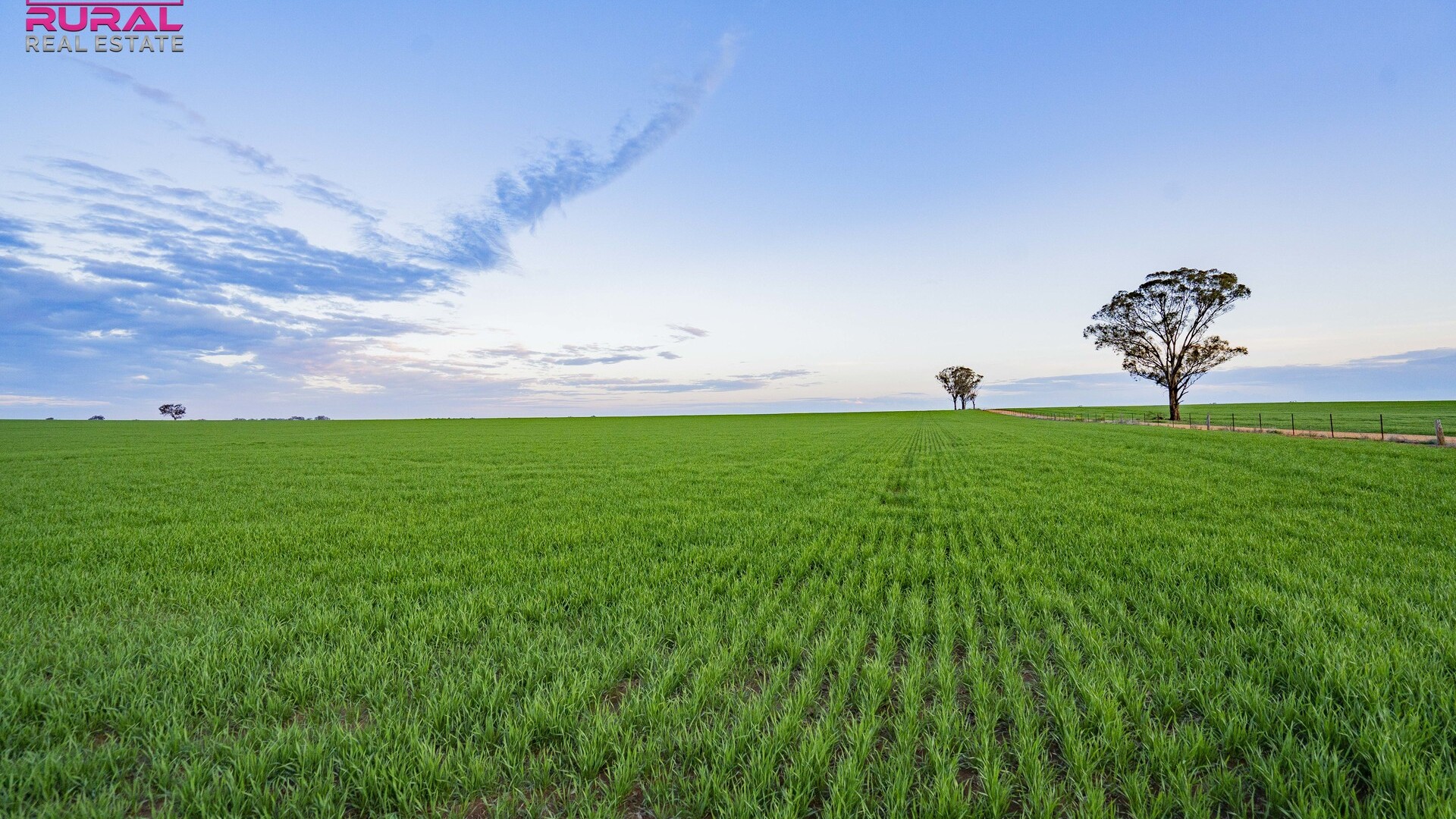 Coffin Rock Lane, Old Junee NSW 2652 - photo 12