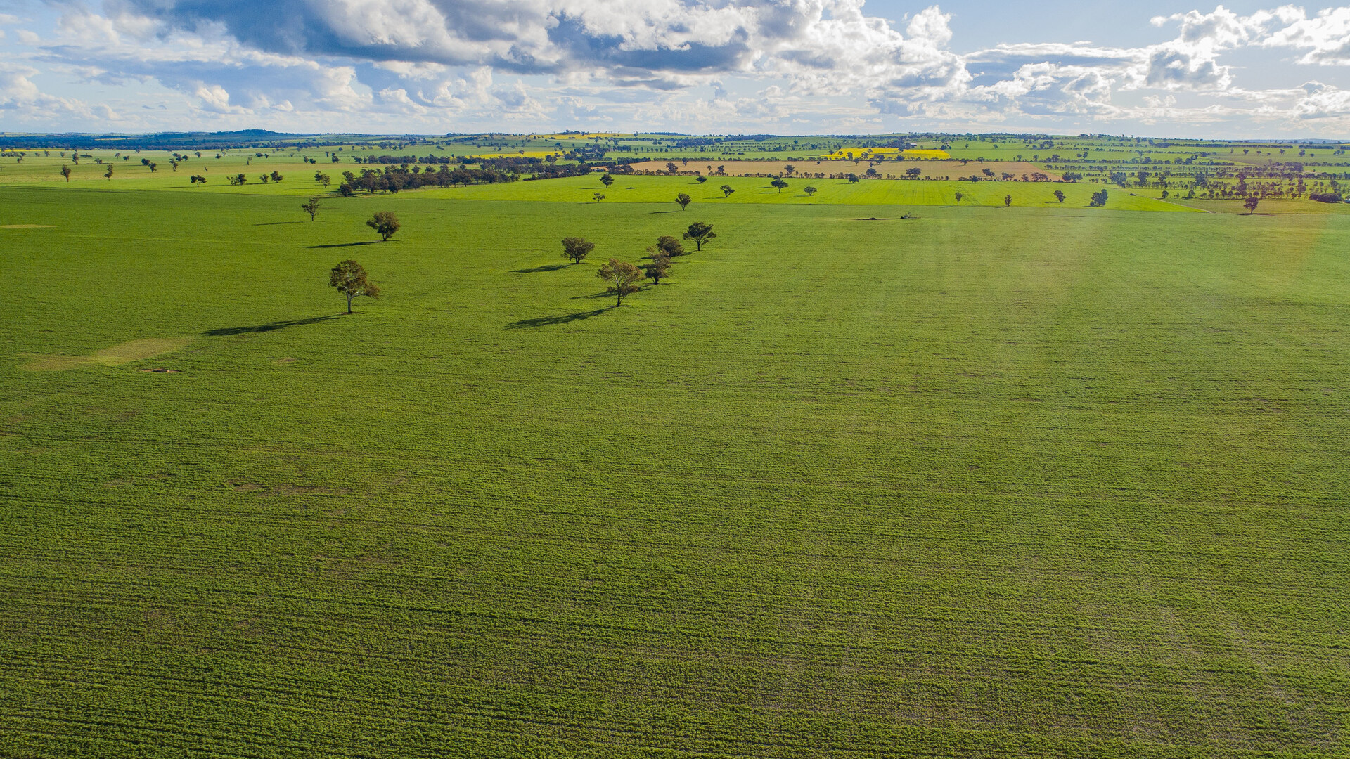 Coffin Rock Lane, Old Junee NSW 2652 - photo 21