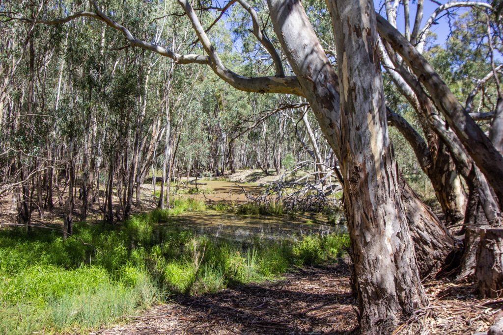 2/7 Mclays Road, Narrandera NSW 2700 - photo 2