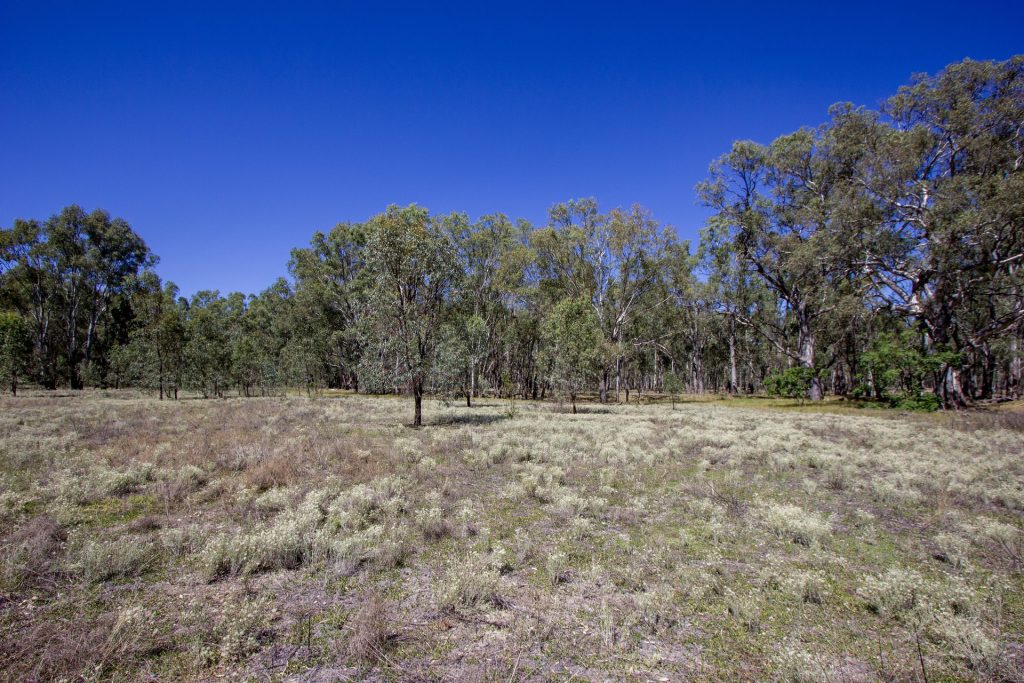 2/7 Mclays Road, Narrandera NSW 2700 - photo 3