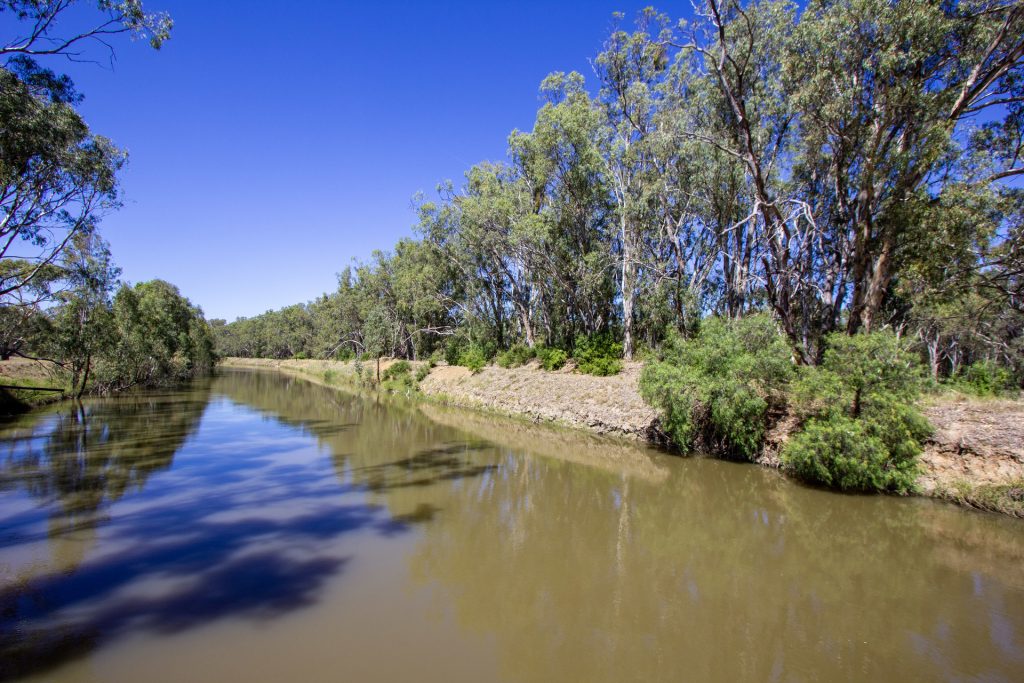 2/7 Mclays Road, Narrandera NSW 2700 - photo 4