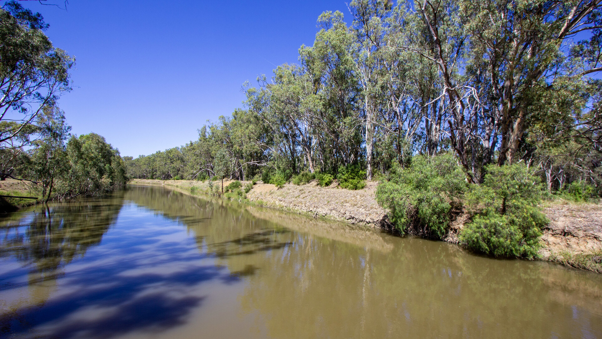 2/7 Mclays Road, Narrandera NSW 2700 - photo 4