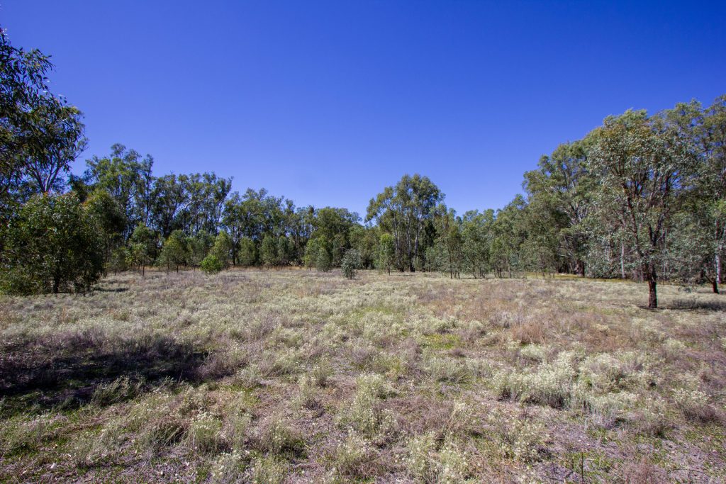 2/7 Mclays Road, Narrandera NSW 2700 - photo 6