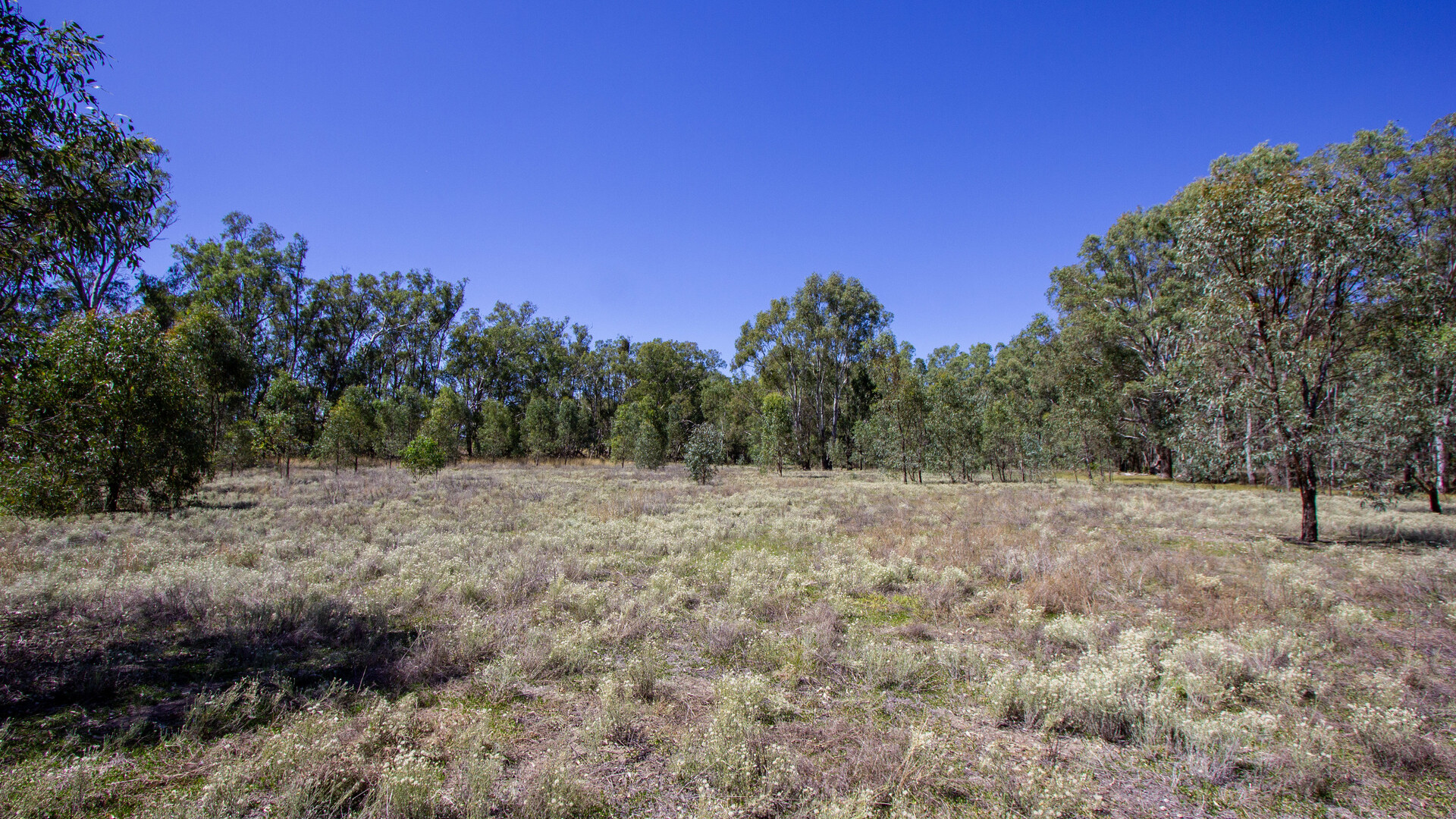 2/7 Mclays Road, Narrandera NSW 2700 - photo 6