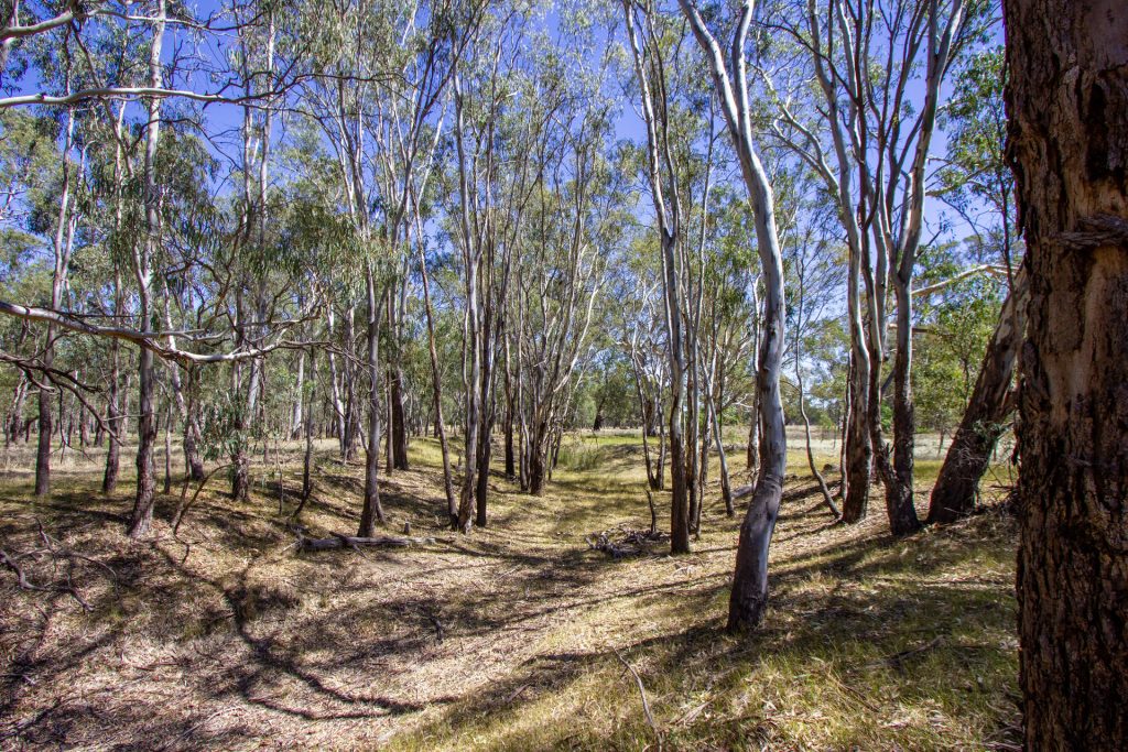 2/7 Mclays Road, Narrandera NSW 2700 - photo 7