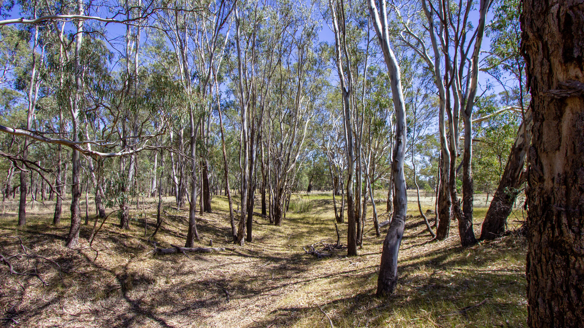 2/7 Mclays Road, Narrandera NSW 2700 - photo 7