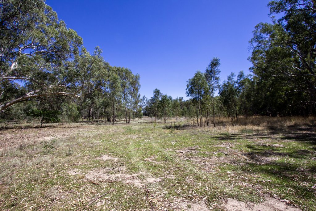 2/7 Mclays Road, Narrandera NSW 2700 - photo 8