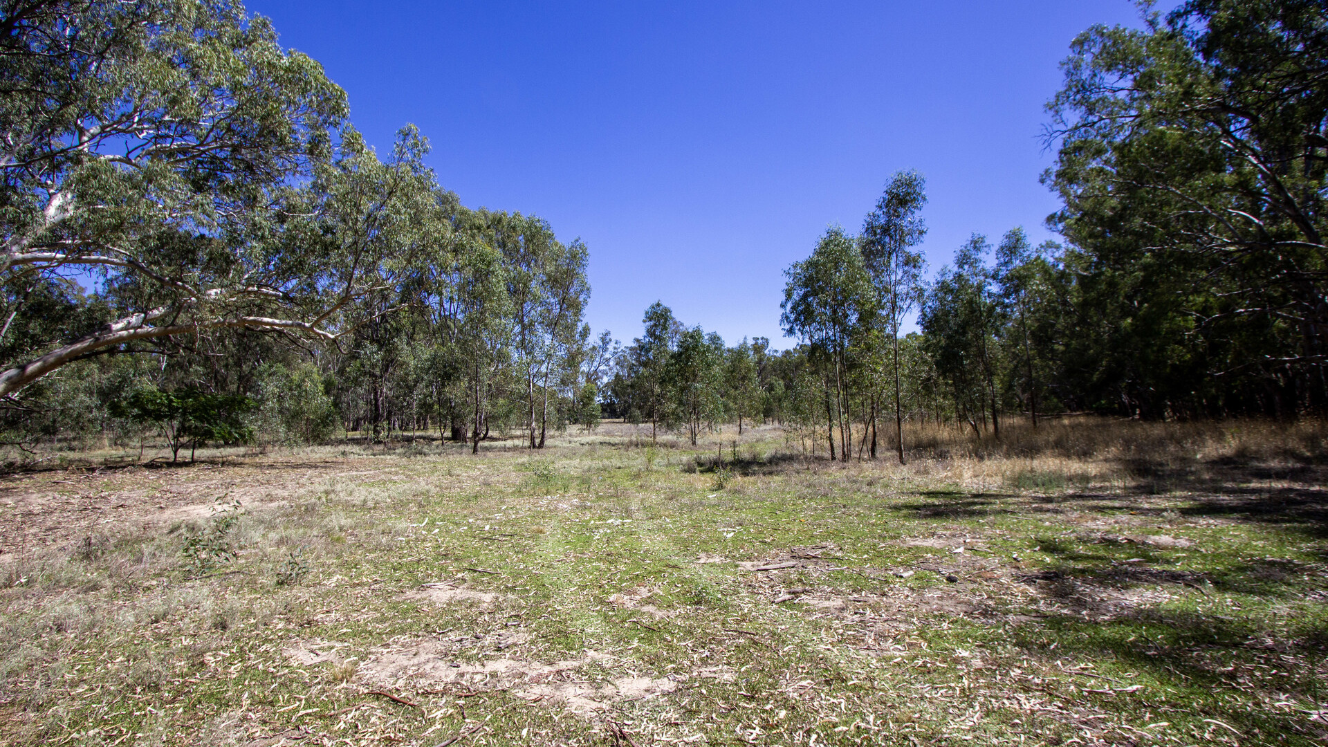 2/7 Mclays Road, Narrandera NSW 2700 - photo 8
