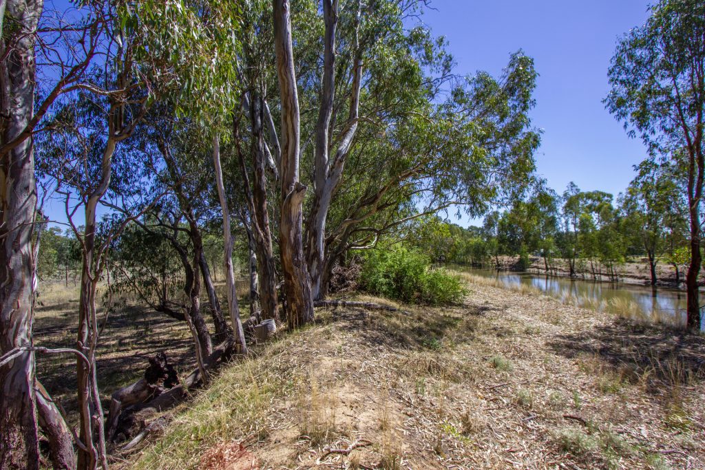 2/7 Mclays Road, Narrandera NSW 2700 - photo 9