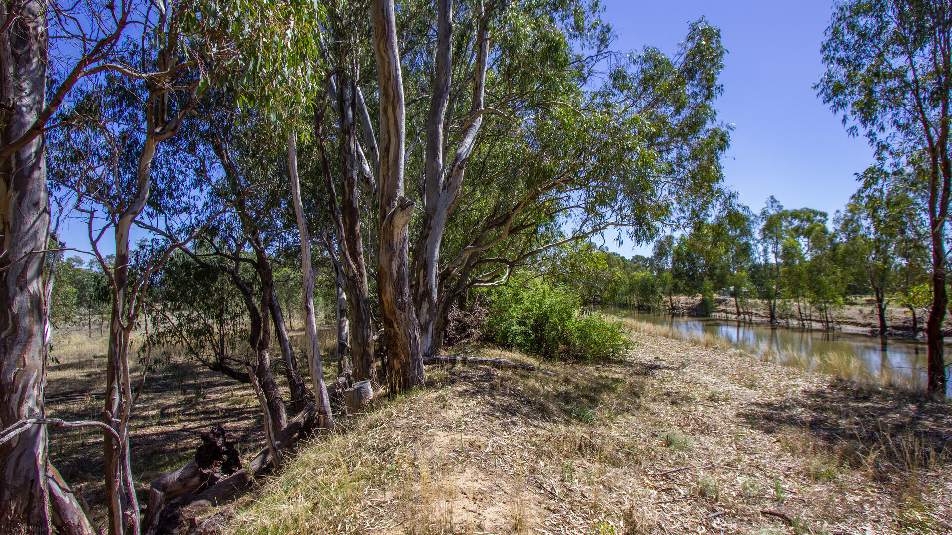 2/7 Mclays Road, Narrandera NSW 2700 - photo 9